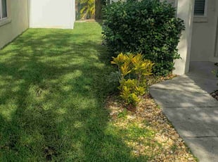 Jack B.'s Lawn Mowing service result