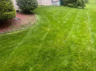 Linda D.'s Lawn Mowing Service service result