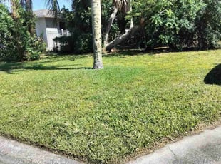 Sharon C.'s Lawn Service service result