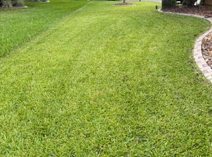 Janeen C.'s Lawn Mowing service result