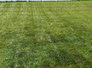 Charlotte G.'s Yard Cutting service result