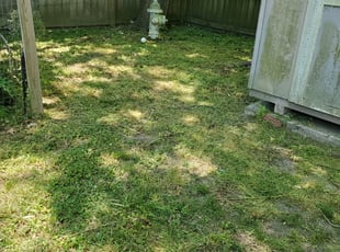 Cleanups by Rodney Ogburn for Brittaney C. in Norfolk, VA