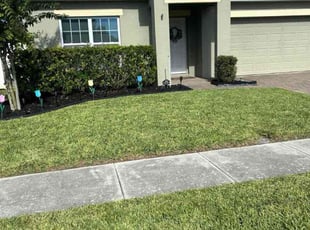 Rodolfo U.'s Grass Cutting service result