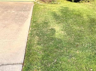 Laura S.'s Lawn Maintenance service result