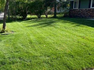 Robert H.'s Yard Cutting service result
