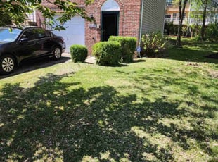Bush Trimming by Derrick Graves for Andrivia M. in Springdale, MD