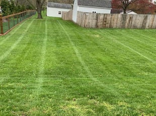 Amber S.'s Lawn Mowing service result