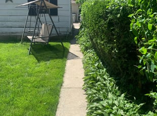 Bush Trimming by Arnan Valmont for Meisha B. in Milwaukee, WI