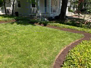 Jean S.'s Lawn Mowing Service service result