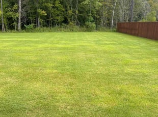 Allison C.'s Lawn Care service result