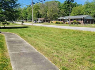 Leon F.'s Lawn Care service result