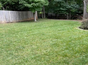Jason S.'s Lawn Mowing service result