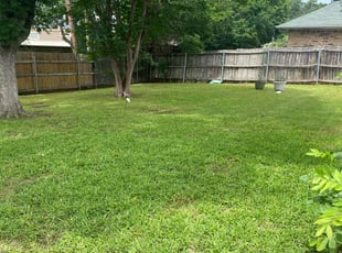 Daniel J.'s Lawn Mowing Service service result