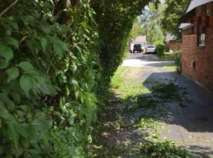 Bush Trimming by Daniel Bunch for Matthew J. in Hilliard, OH