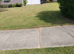 Xavier/Donica B.'s Grass Cutting service result