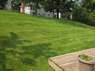 Etta K.'s Lawn Service service result