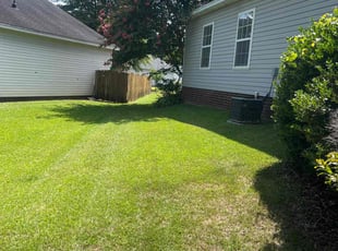 Chyvonna D.'s Lawn Service service result