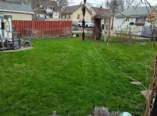 Judy H.'s Yard Cutting service result