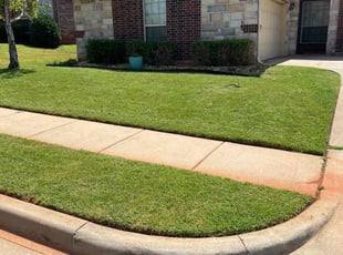 Larry A.'s Grass Cutting service result