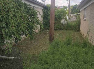 Cleanups by Jr Estell for Corey K. in Troy, MI