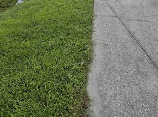 Sandy W.'s Lawn Service service result