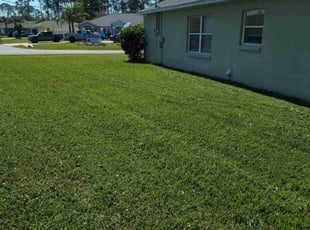 Georgia C.'s Lawn Care service result