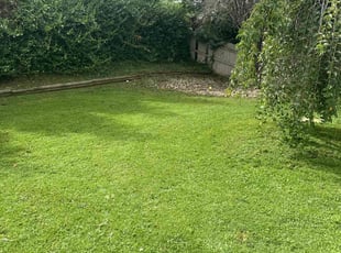 Scott H.'s Lawn Service service result