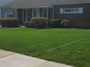Mike Z.'s Lawn Mowing service result