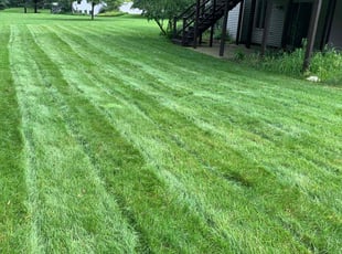 Neko E.'s Lawn Mowing service result