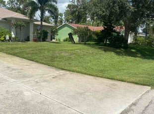 Robert S.'s Lawn Service service result