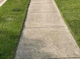 Marian C.'s Lawn Mowing service result