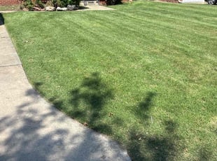 Makaisimo F.'s Yard Cutting service result