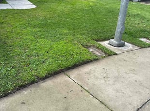 Dana O.'s Lawn Care service result
