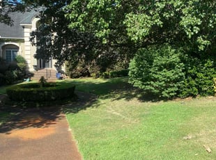 Revonna W.'s Yard Cutting service result