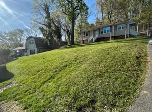Cathleen V.'s Lawn Mowing service result