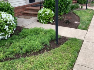 Mulching by Khalim Yularnis for Georgio N. in Bristow, VA