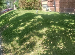 Leaf Removal by Aaron Spradlin for Benita A. in Dayton, OH