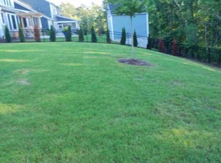 Aaron G.'s Lawn Mowing service result