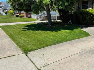 Darrion W.'s Lawn Maintenance service result