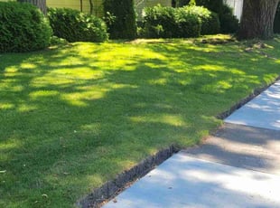 Holly F.'s Lawn Service service result