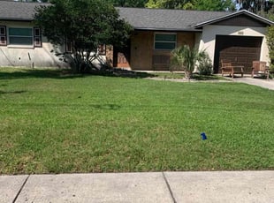 Ricardo F.'s Yard Cutting service result