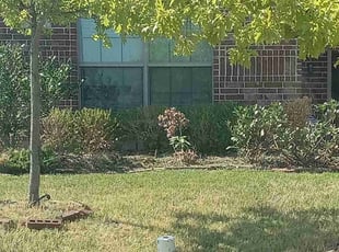 Bush Trimming by Stephen Fournier for Tarah T. in Forney, TX