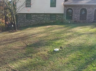 Leaf Removal by Ruben Williams for Francine W. in College Park, GA