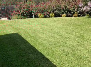 John H.'s Lawn Service service result