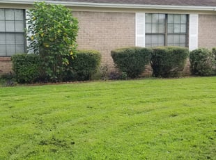 Bush Trimming by Andrew Alsobrook for Philip K. in Orange Park, FL