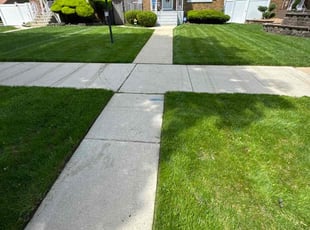 Ali B.'s Yard Cutting service result