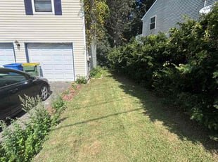 David S.'s Yard Cutting service result