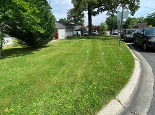 Candice C.'s Yard Cutting service result