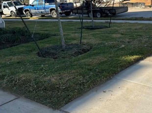 Lauri W.'s Lawn Service service result