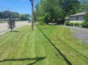 Michelle M.'s Lawn Mowing Service service result